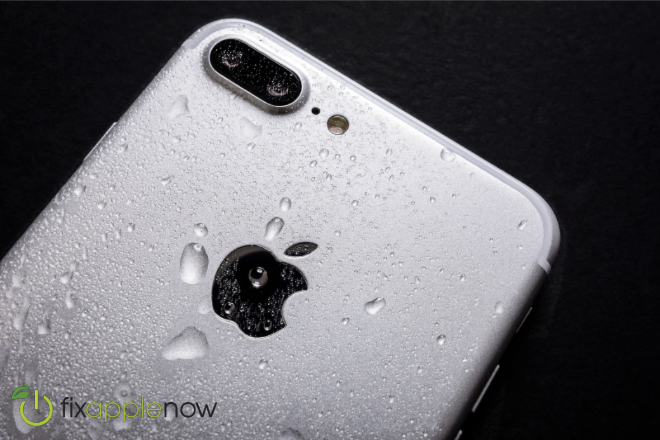 Top 5 Things to Do if Your iPhone Has Water Damage