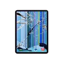 iPad Pro 11" 4th Gen Screen Replacement Service